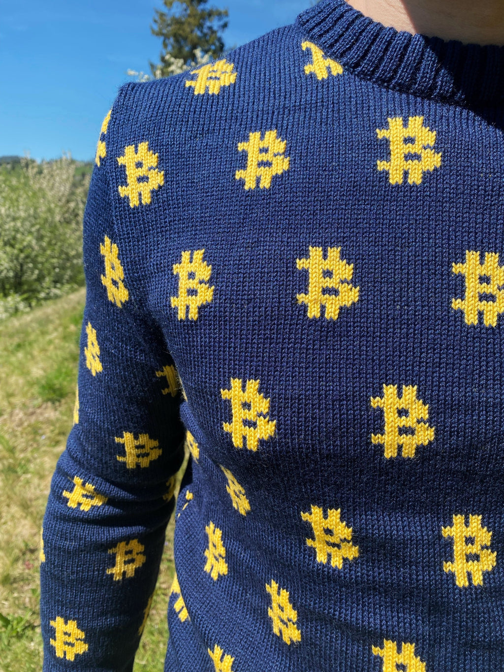 Men Bitcoin knit sweater Crypto clothing Knitted merino funny sweater for him Bitcoin Unisex Crypto Sweater Funny Sweatshirt